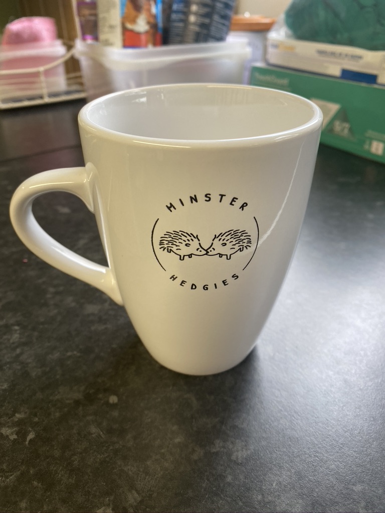 £8 Minster Hedgies LOGO MUG