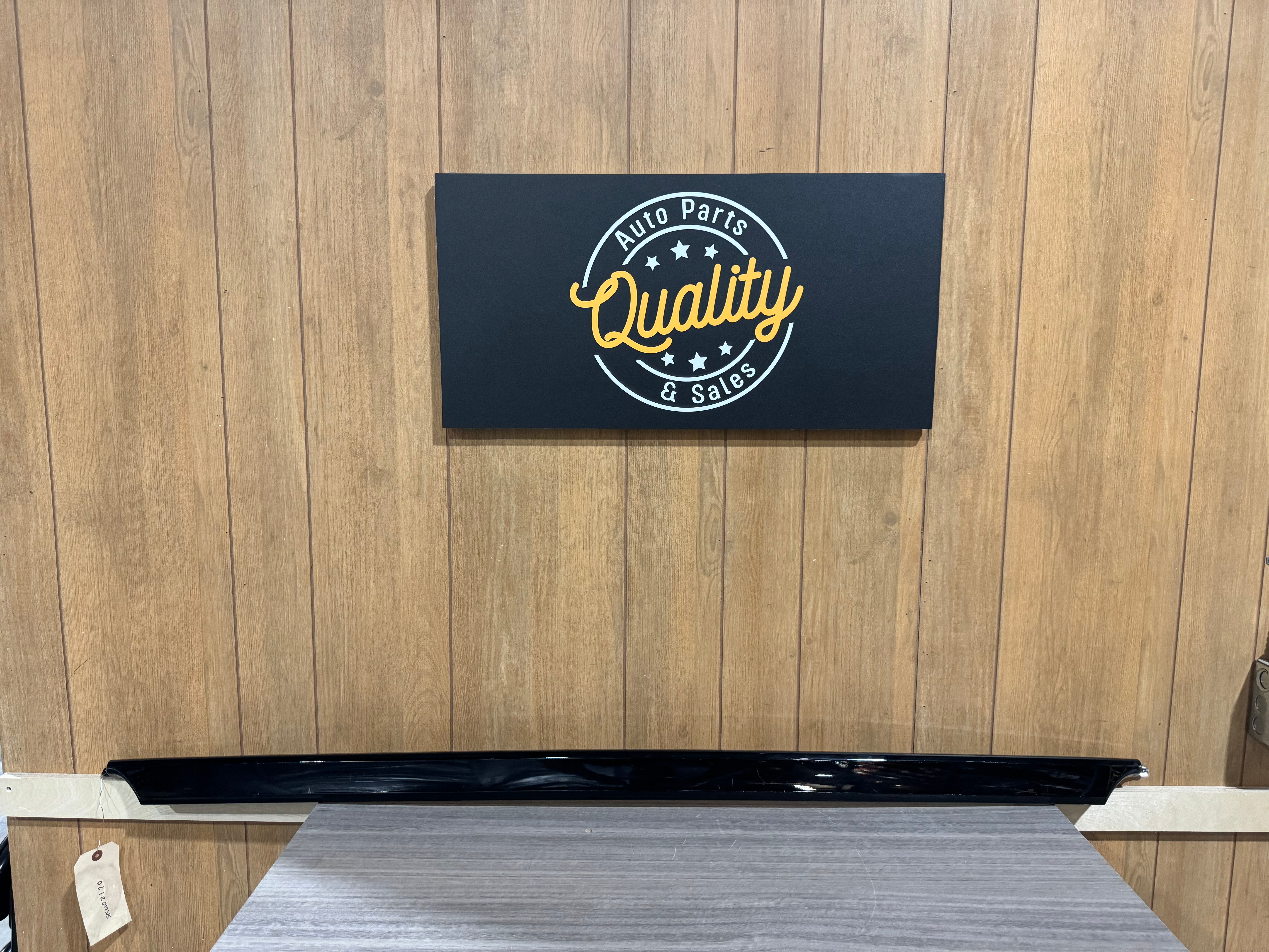 2019-2021 Lincoln Aviator Rear Bumper Center Trim