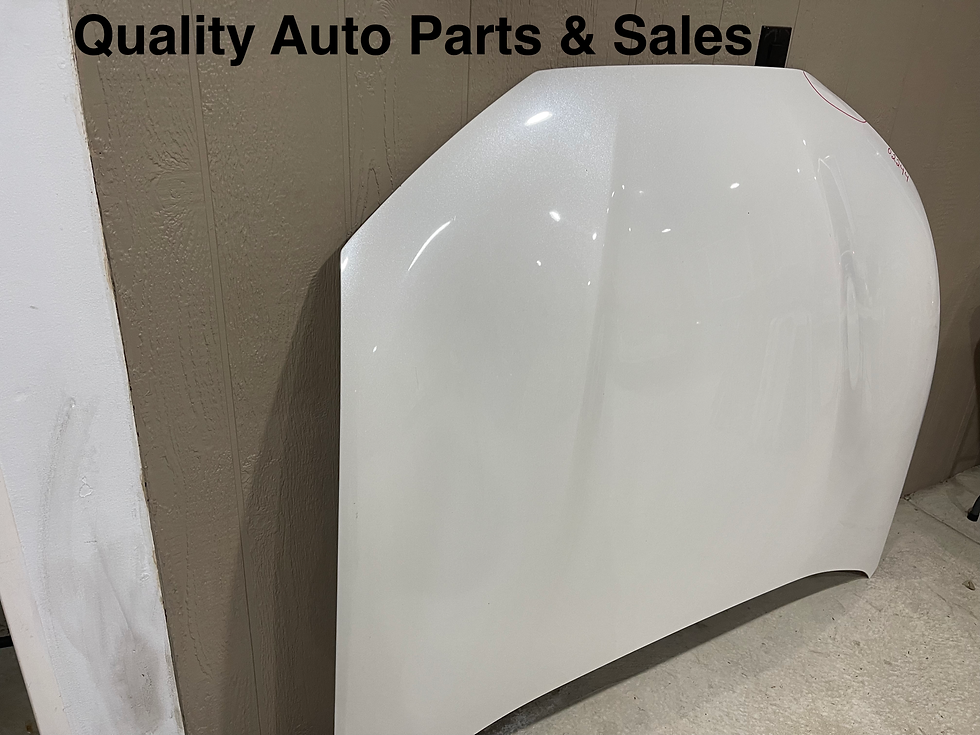 Thumbnail: 2021-2022 Ford Mustang Mach E Hood