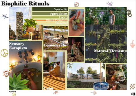 Biophilic Rituals concept board
