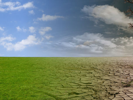 Growing Likelihood Of Disruption...