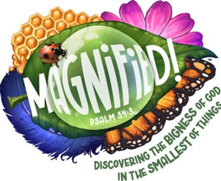 Magnified.jpg