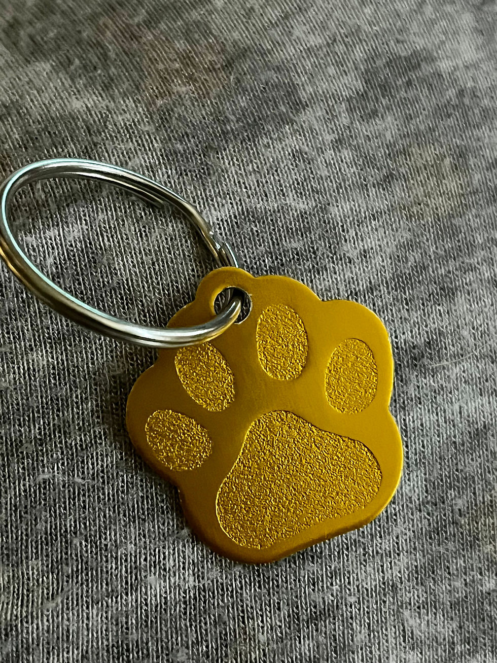 Thumbnail: Personalized Engraved Pet Tags