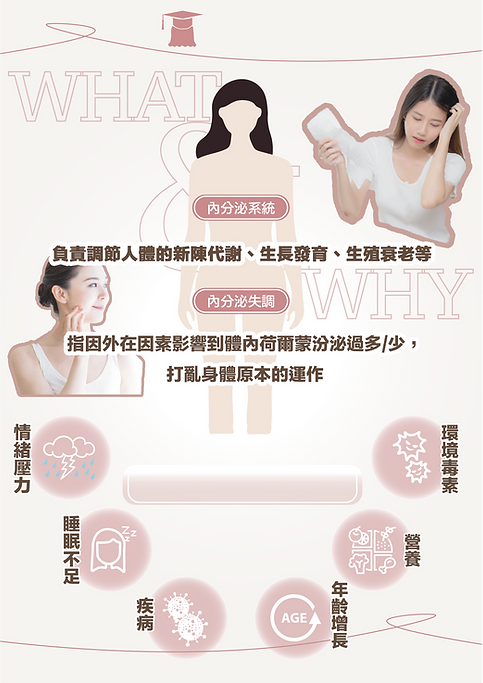 INNESS 內分泌調理精華