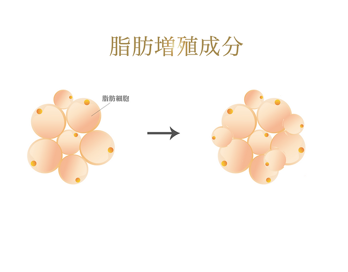 Yoshina 神級豐胸家用套裝