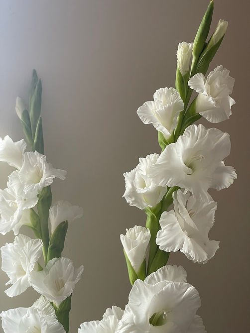Gladioli
