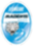 LEAGUE PNG HD.png