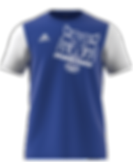 MAILLOT CUP FACE.png