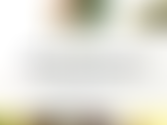 What Are Sustainable Gardening Practices? A Practical Guide to Greener Growing