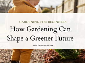 Gardening for Beginners: Why Starting Now Can Shape a Greener Future