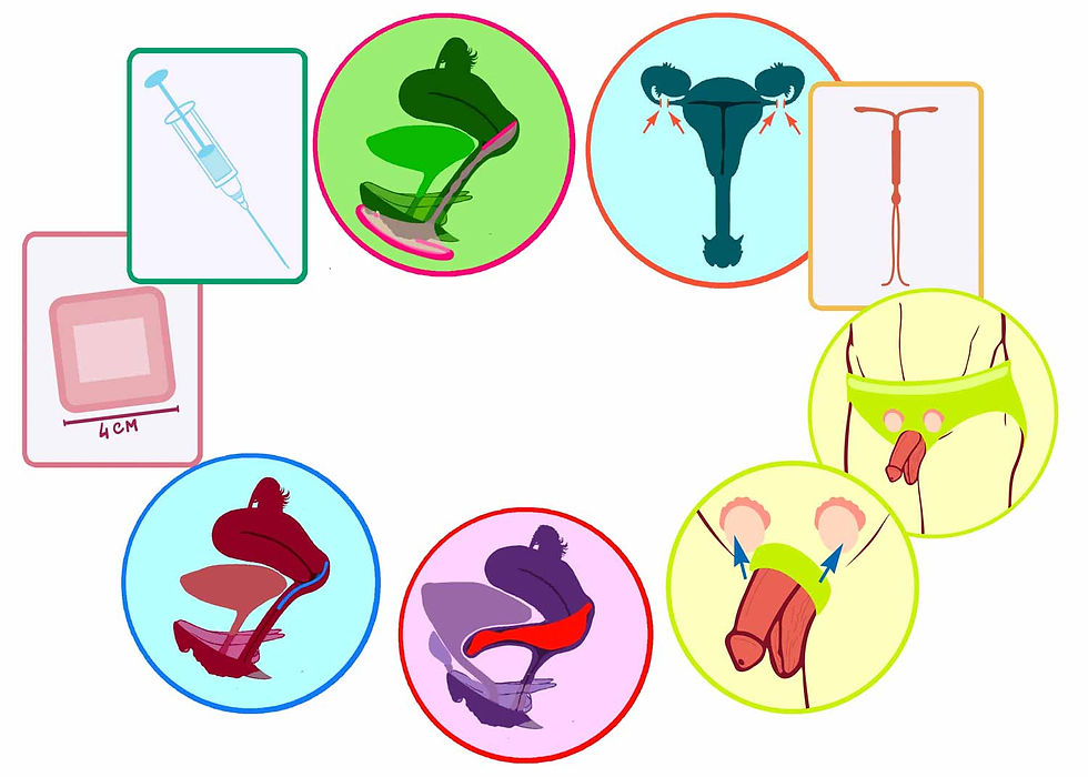 Vue d'ensemble des zooms anatomiques présents dans la boite ELEKTO contraception