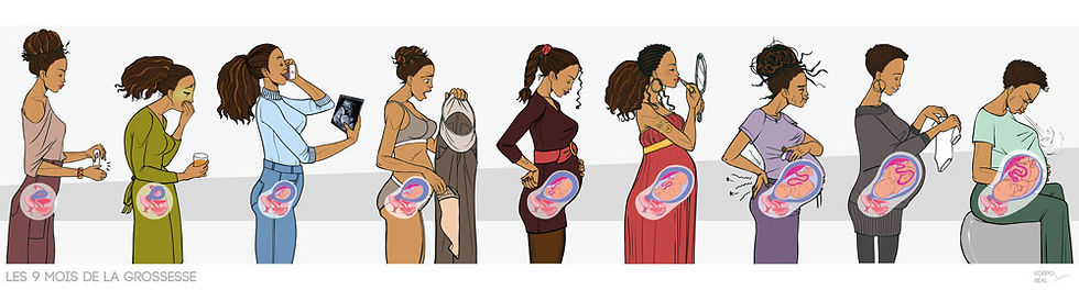 Frise numérique complète de la grossesse avec évolution mois par mois