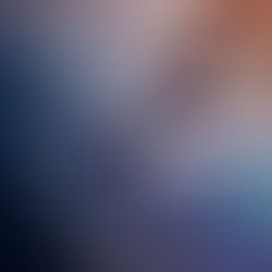 Fraud Response Management: How to Navigate a Financial Crisis