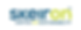 Skeiron Logo