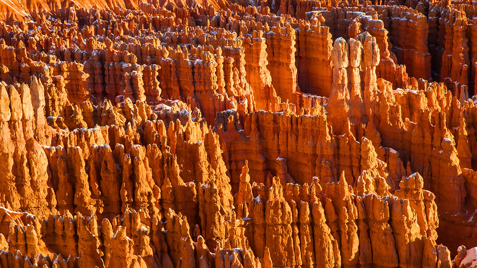 Hoodoos in Bryce Canyon