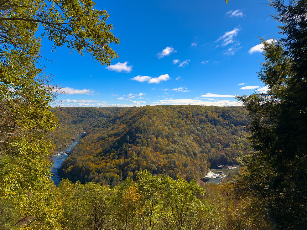 Pierson Hollow Overlook at Carnifex Ferry Battlefield State Park in Summersville, West Virginia