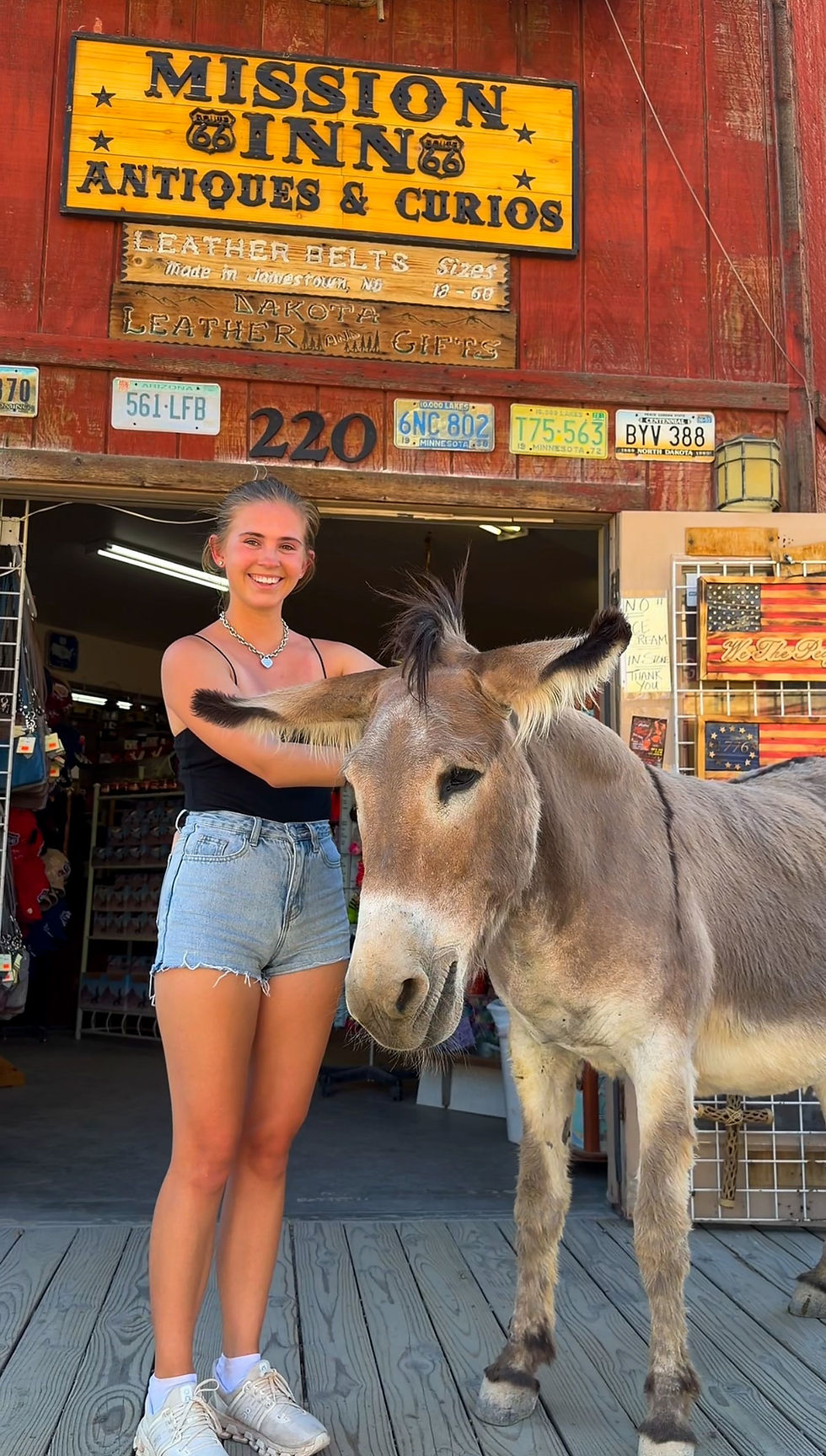 Wild burro standing in front of a historic storefront in Oatman, Arizona along Route 66.
