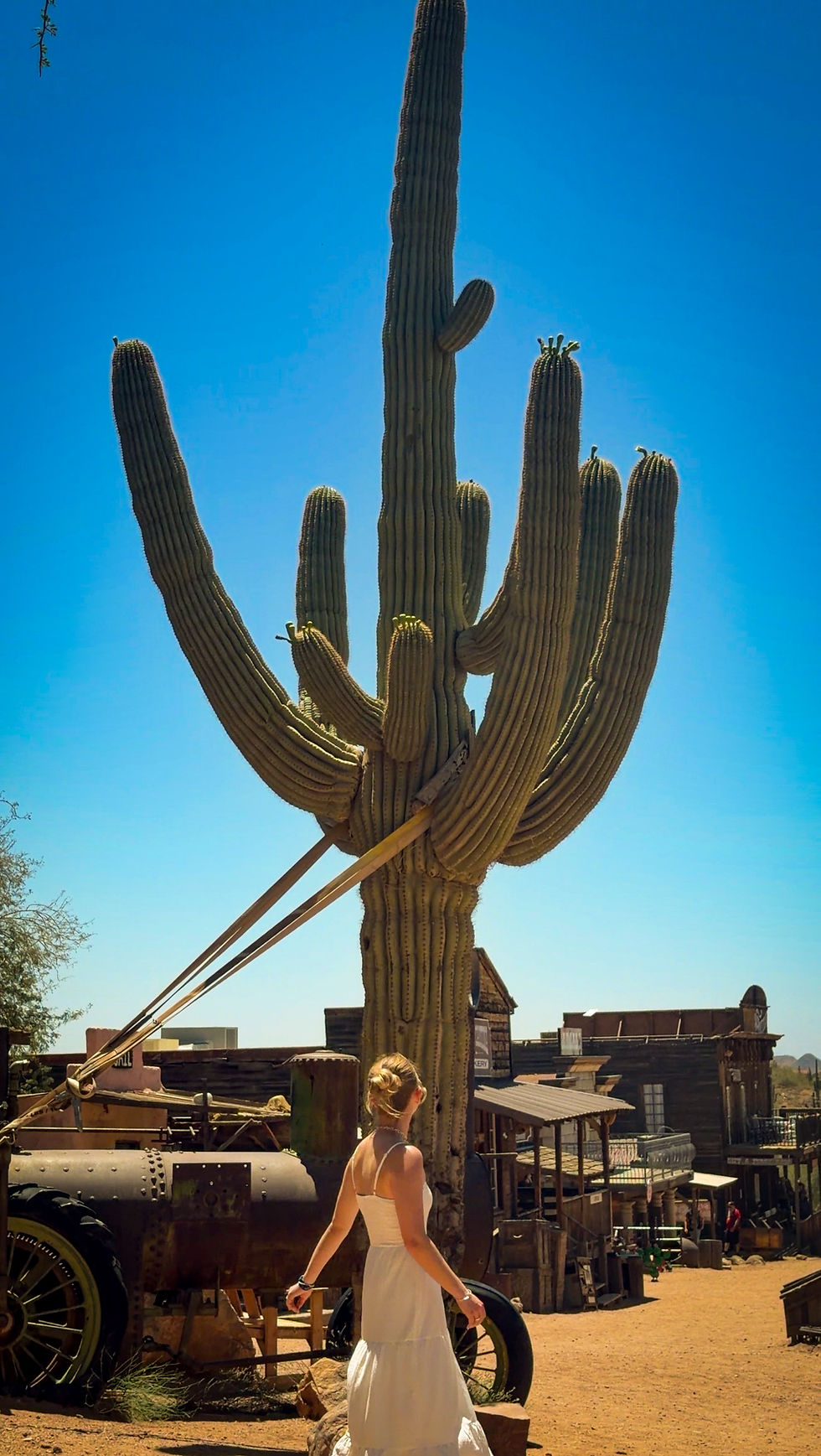 Goldfield Ghost Town with a cactus and the Superstition Mountains in Apache Junction, Arizona