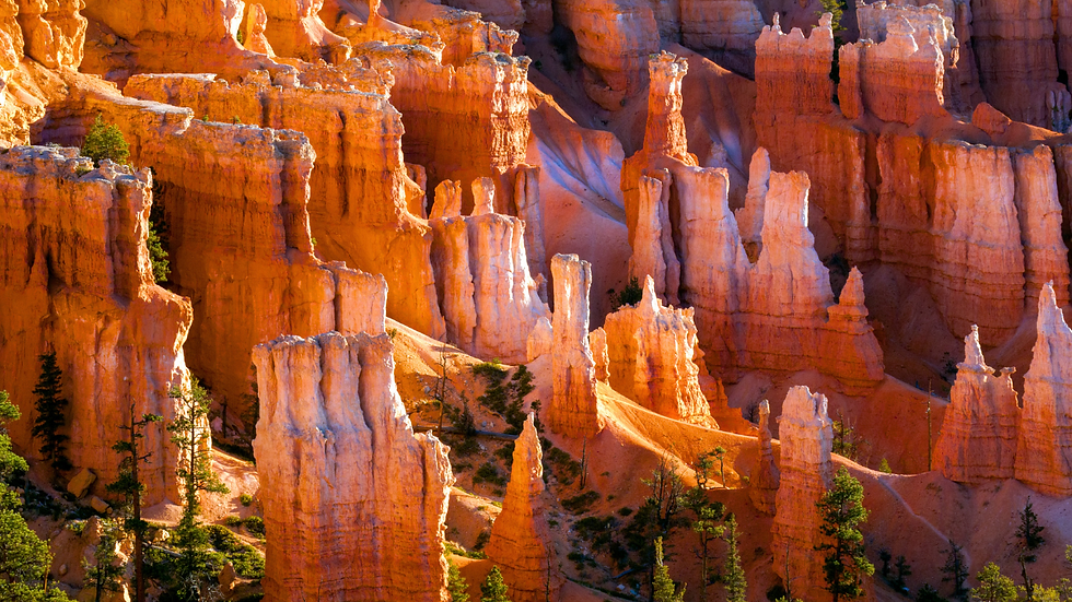Hoodoos in Bryce Canyon