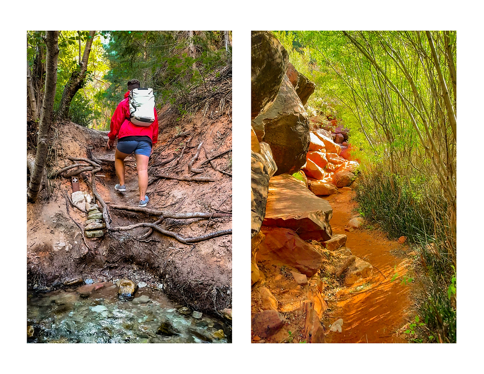 Kanarra Falls Hike Trail Conditions