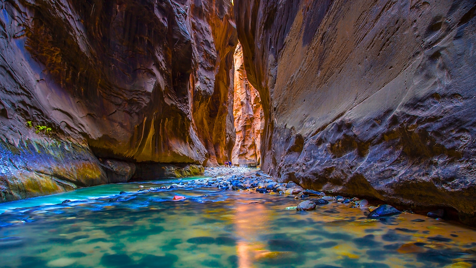 The Narrows in Zion National Park