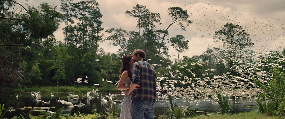 Where the Crawdads Sing (2022)