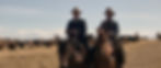 Benedict Cumberbatch and Jesse Plemons ride horses across an open field with cattle behind them in a wide shot from The Power of the Dog, showcasing the digital cinematography’s analog-inspired warmth and naturalistic lighting.