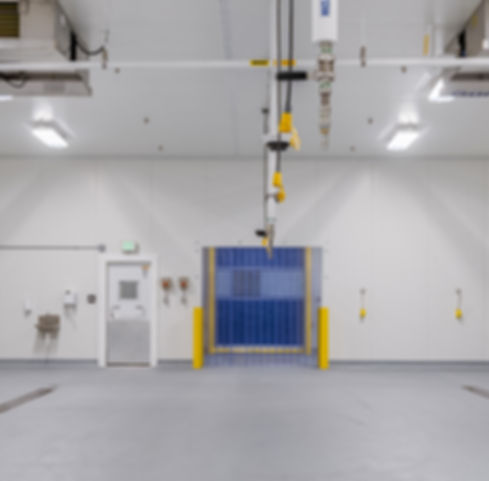 Alpine-Foods_Fresh Cut Facility-2.jpg