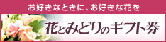 banner_M_02.gif