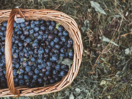 Schnitterinfest oder Lugnasad - ein Wandel von Rot zu Schwarz