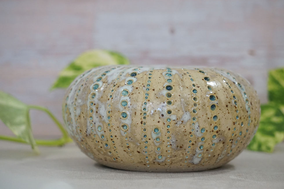 Μικρογραφία: Κεραμικό βάζο Αχινος