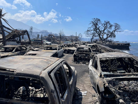 Empact's Work on Maui Continues: Making a Difference in Wildfire Relief Efforts