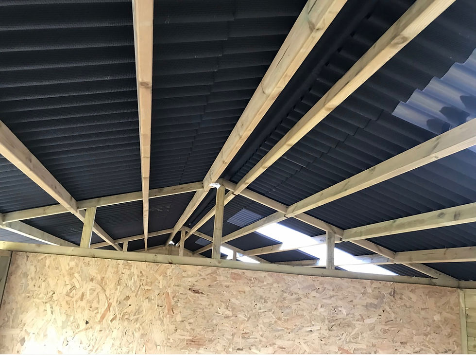 Thumbnail: 12ft x 12ft Shed / Feed Room plus 6ft Shed / Tack Room