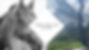 LOGO _edited.jpg