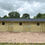 Thumbnail: 12ft x 36ft Stable plus 8ft Tack room Static or Mobile 25mm Cladding
