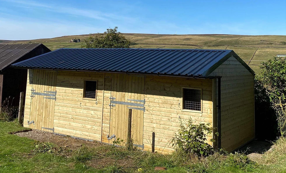 Thumbnail: 12ft x 24ft Timber Stable with Metal Anticon Roof Static or Mobile 25mm Cladding