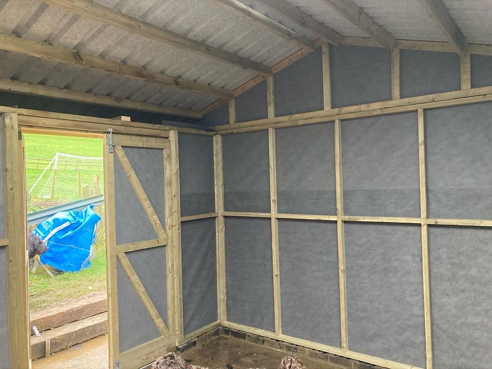 Thumbnail: 12ft x 20ft Stable Shape Shed Workshop 25mm T&G Cladding