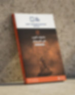 تقرير شهر نوفمبر 2025