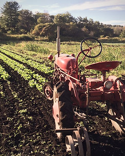Tractor on Hepworth CBD Fields