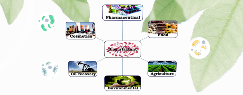 sihauli chemicals banner (1).png