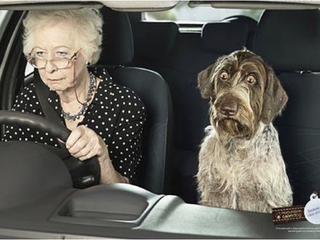 Don't Ignore These Symptoms of Dementia