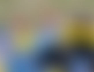 Zástupkyně organizace a Holka s handicapem na akci Piknik všech tváří představují pomůcky pro cvičení po cévní mozkové příhodě.