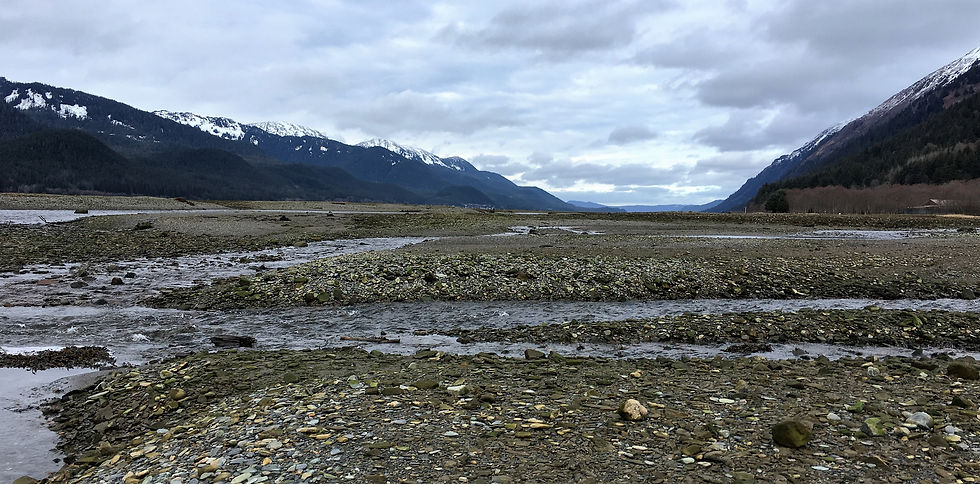 Sheep Creek