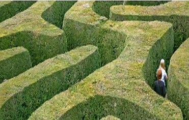 Couple navigating a maze