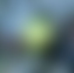 A heart shaped grape leaf.