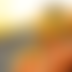 Pumpkin Patch and Fall Follies at Fountainhead Stables: An Autumn Adventure Fit for a Legend