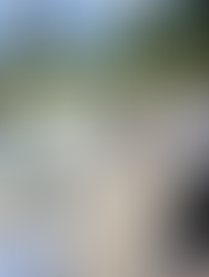 오늘, 한국 교육에 가장 간절한 가치: 프레네 교육 운동