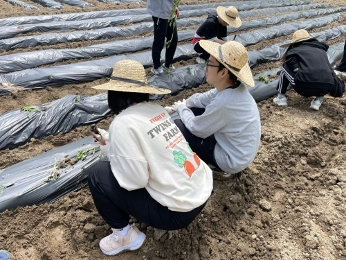 ▲ 별의친구들 참여자들이 텃밭 활동을 하고 있다. (사진=별의친구들 제공)