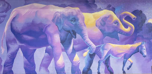 The Call of the Wild: The Elephants of Nay Aug by Eric Bussart