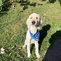 IMG_4531.jpeg